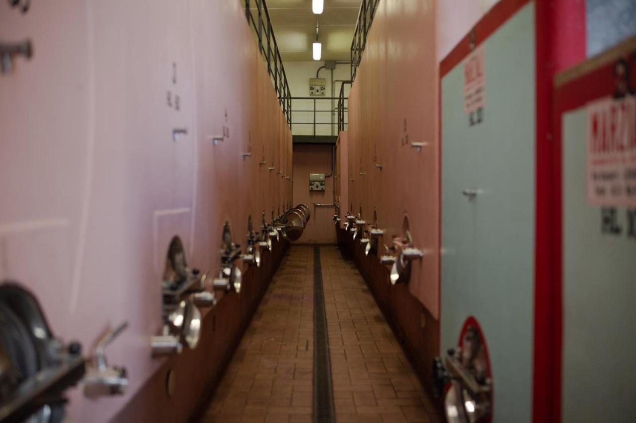 Appartamenti Casalsole Cerreto Guidi Esterno foto